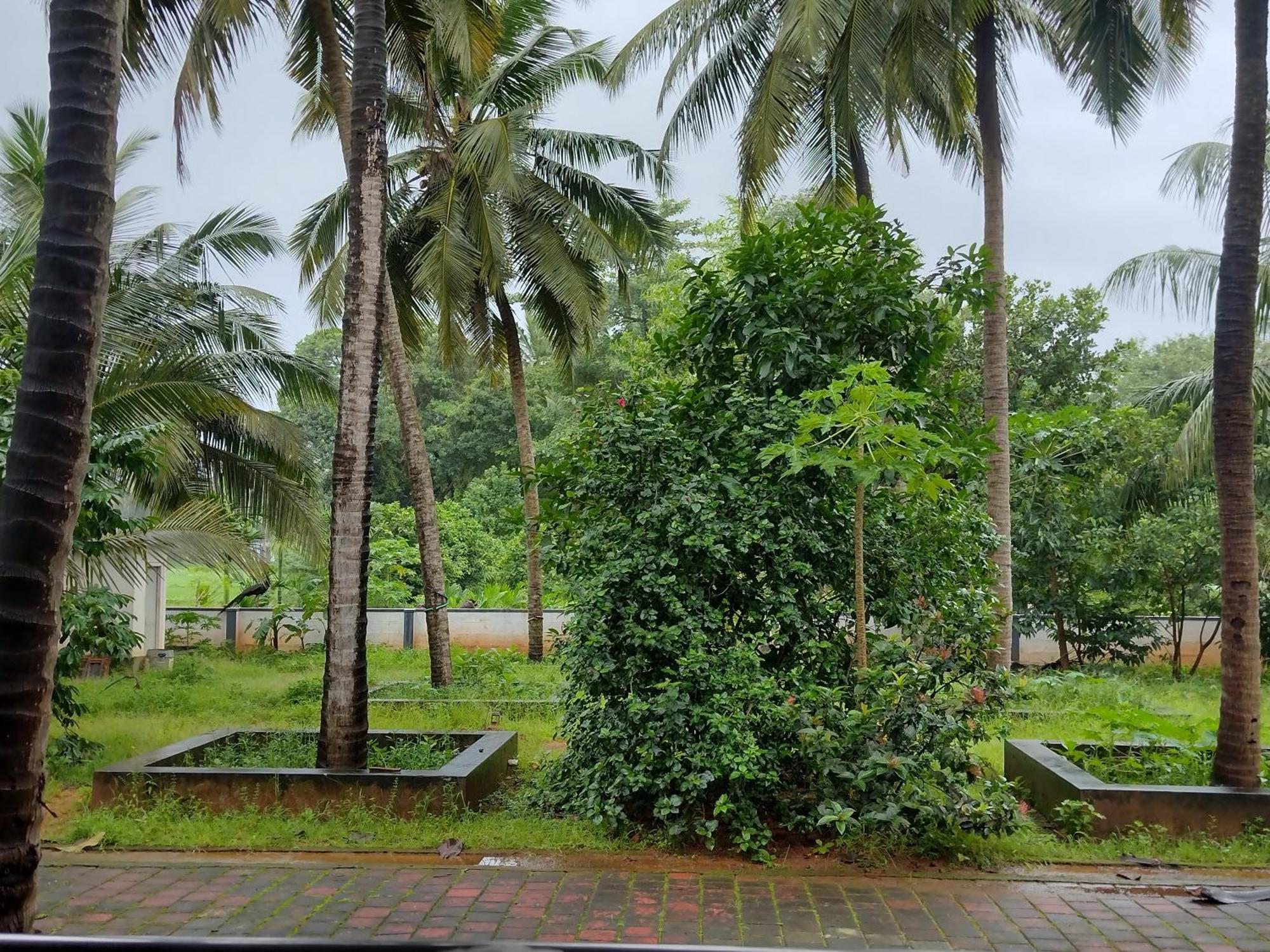 Jayadurga Farms - An Eco-Friendly Homestay Удупи Екстериор снимка